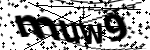 Captcha text